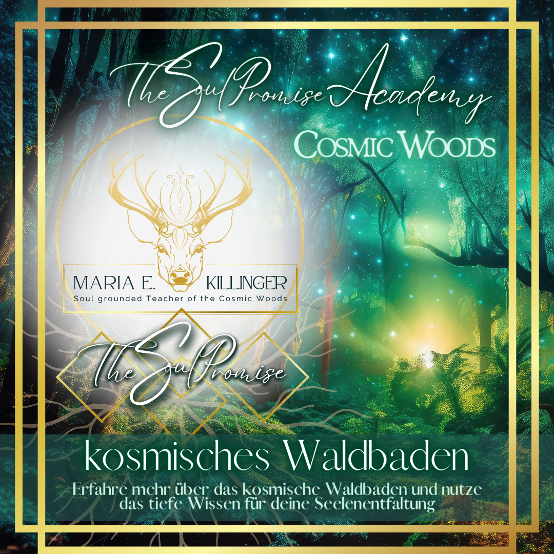 kosmisches Walden, kosmisches Waldbaden, Wald Retreat